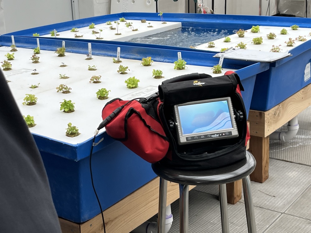 New aquaponics project at MCHS features microplants and fish