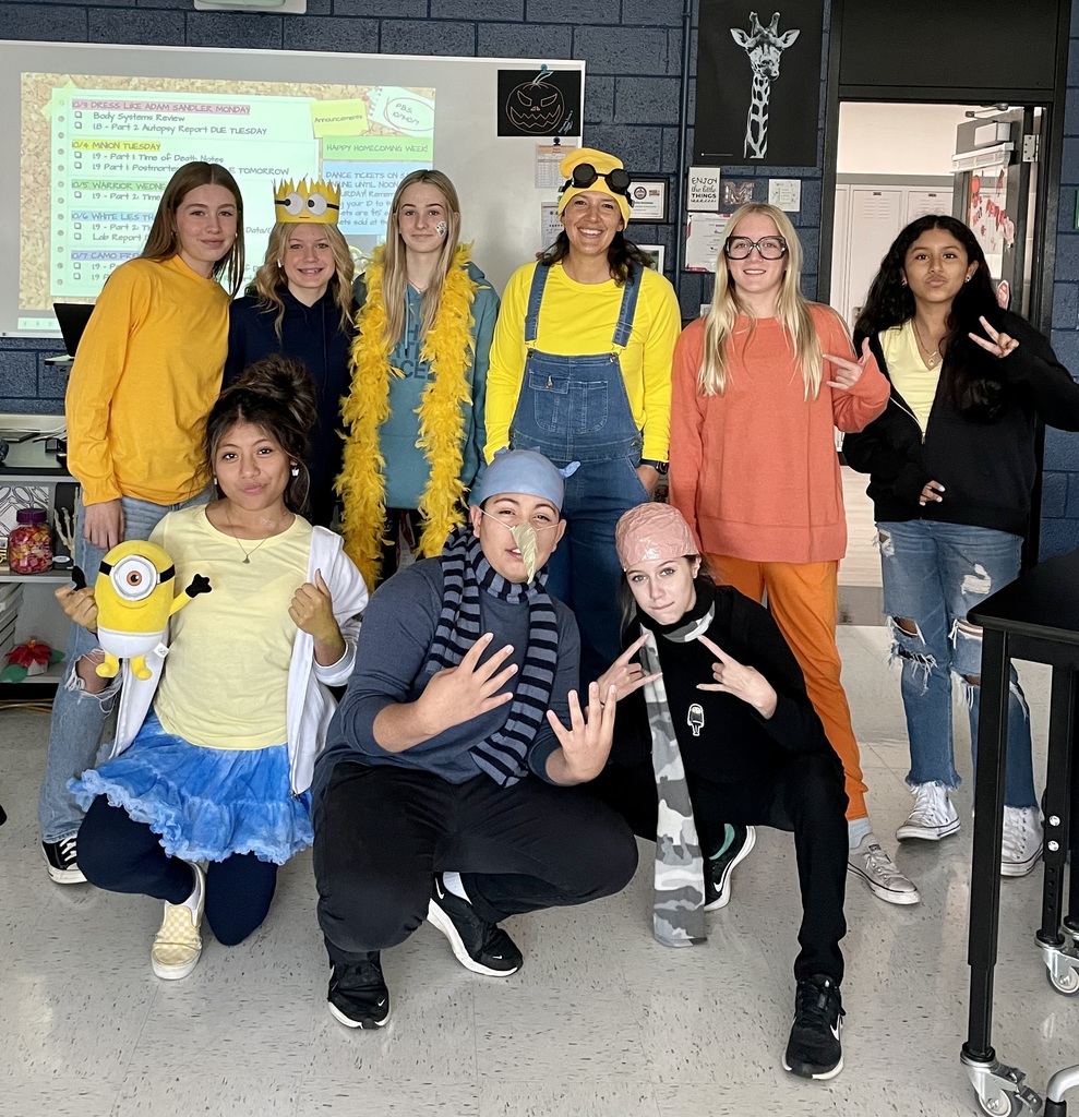 Students and teacher dressed as minions and Gru