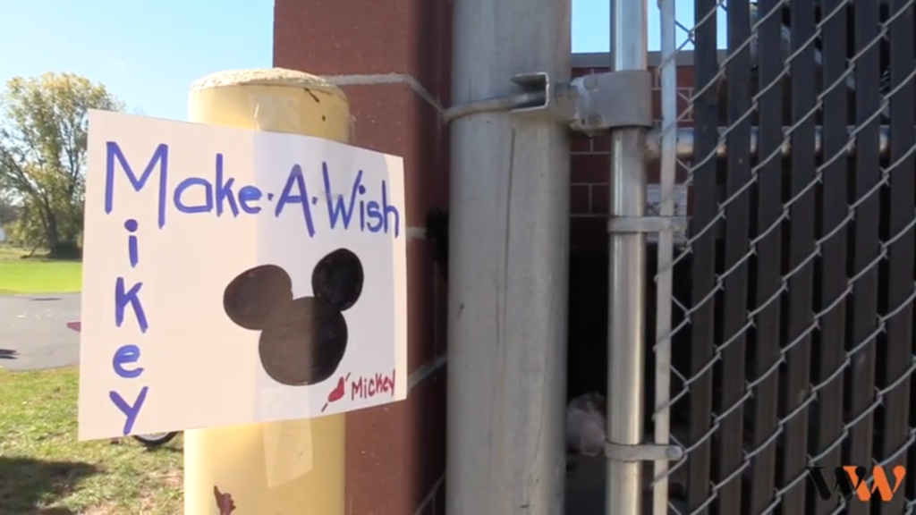 Make-a-wish sign