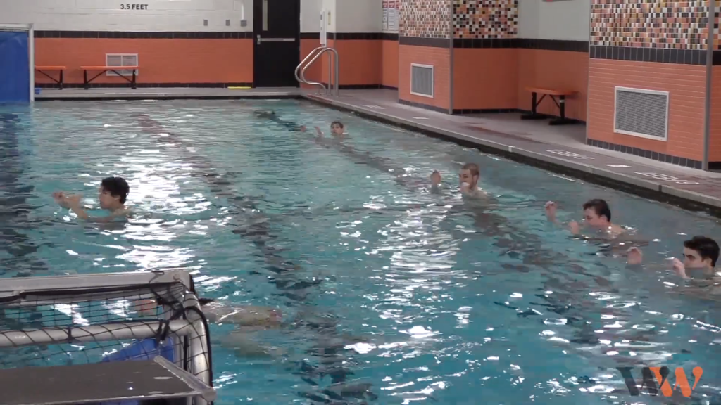 Students in the pool for water polo practice